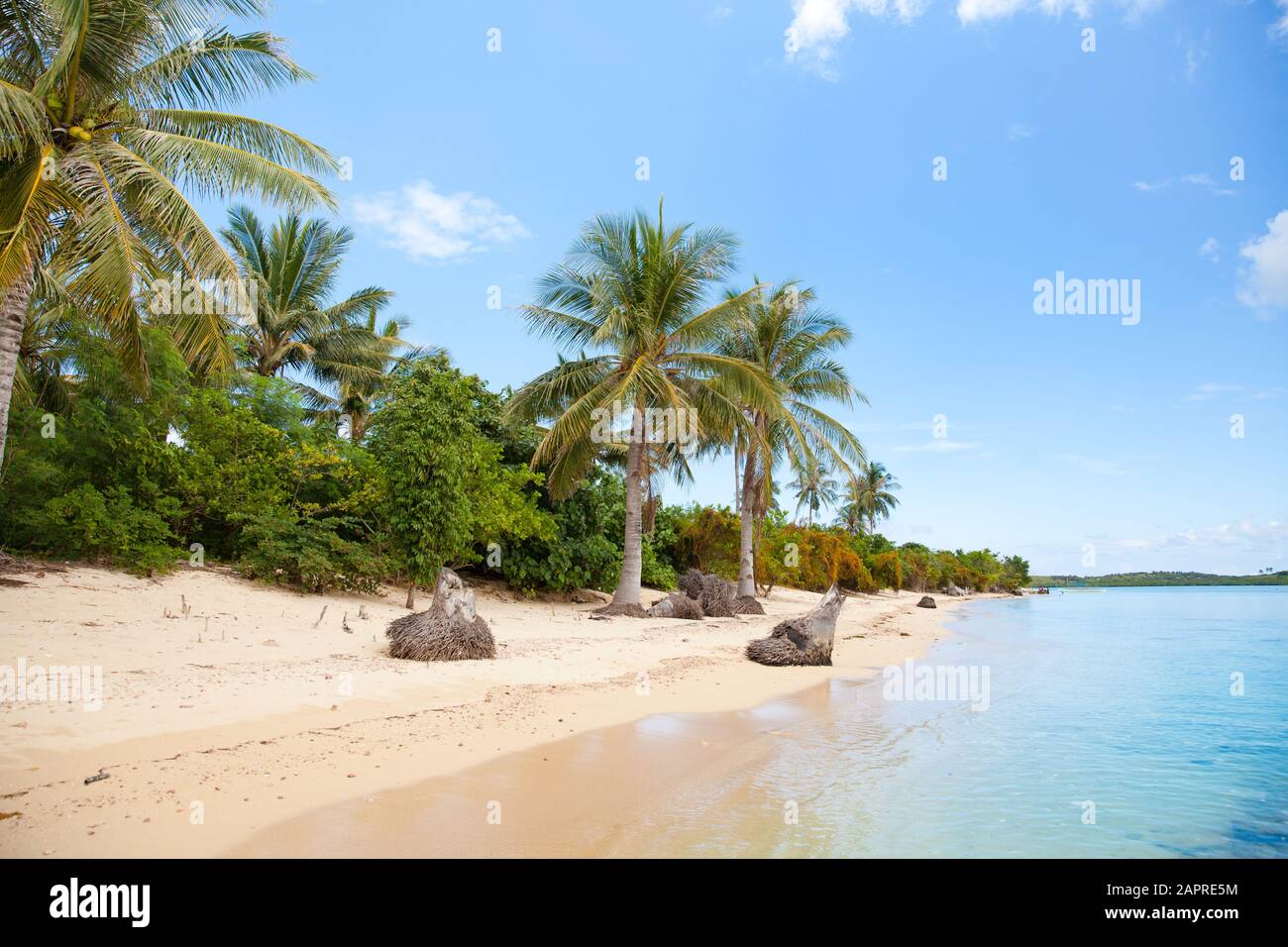 Île tropicale avec une plage de sable blanc. La nature des îles Philippines. Banque D'Images