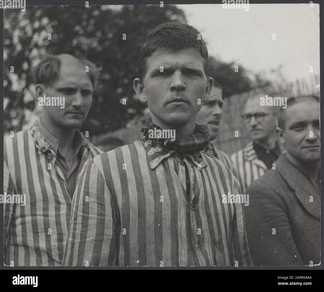 Collaboration Pays-Bas. Dans le camp de la prison de Vught, où les Allemands et leurs hommes de main ont essayé en vain de briser la puissance folklorique néerlandaise pendant des années, environ 7000 collaborateurs et traître néerlandais sont maintenant emprisonnés. Les soldats des Néerlandais Stoottroopers sont en charge de la sécurité, en particulier des 300 Néerlandais S.S. qui ont mis sur le costume de soldat allemand traitore. Sous la direction du commandant du camp, Le Major L. Mennes et ses aides, ces prisonniers sont utilisés pour purifier les environs de Vught à partir des mines terrestres. Ils sont habillés de costumes de prison à rayures bleues et blanches, les mêmes paquets dans Banque D'Images