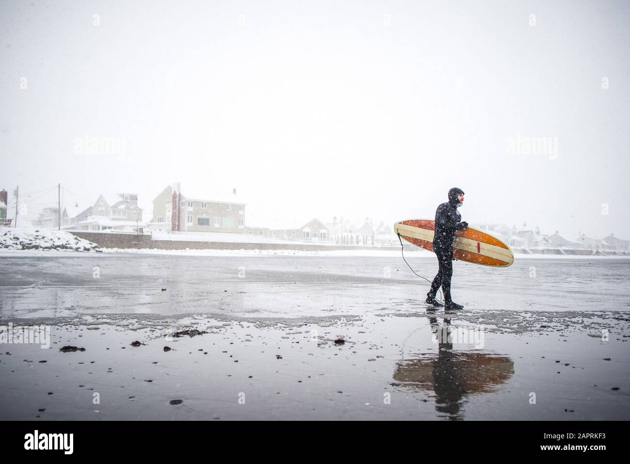 Surfeur marchant le long de la plage dans le Maine pendant une tempête de neige d'hiver Banque D'Images