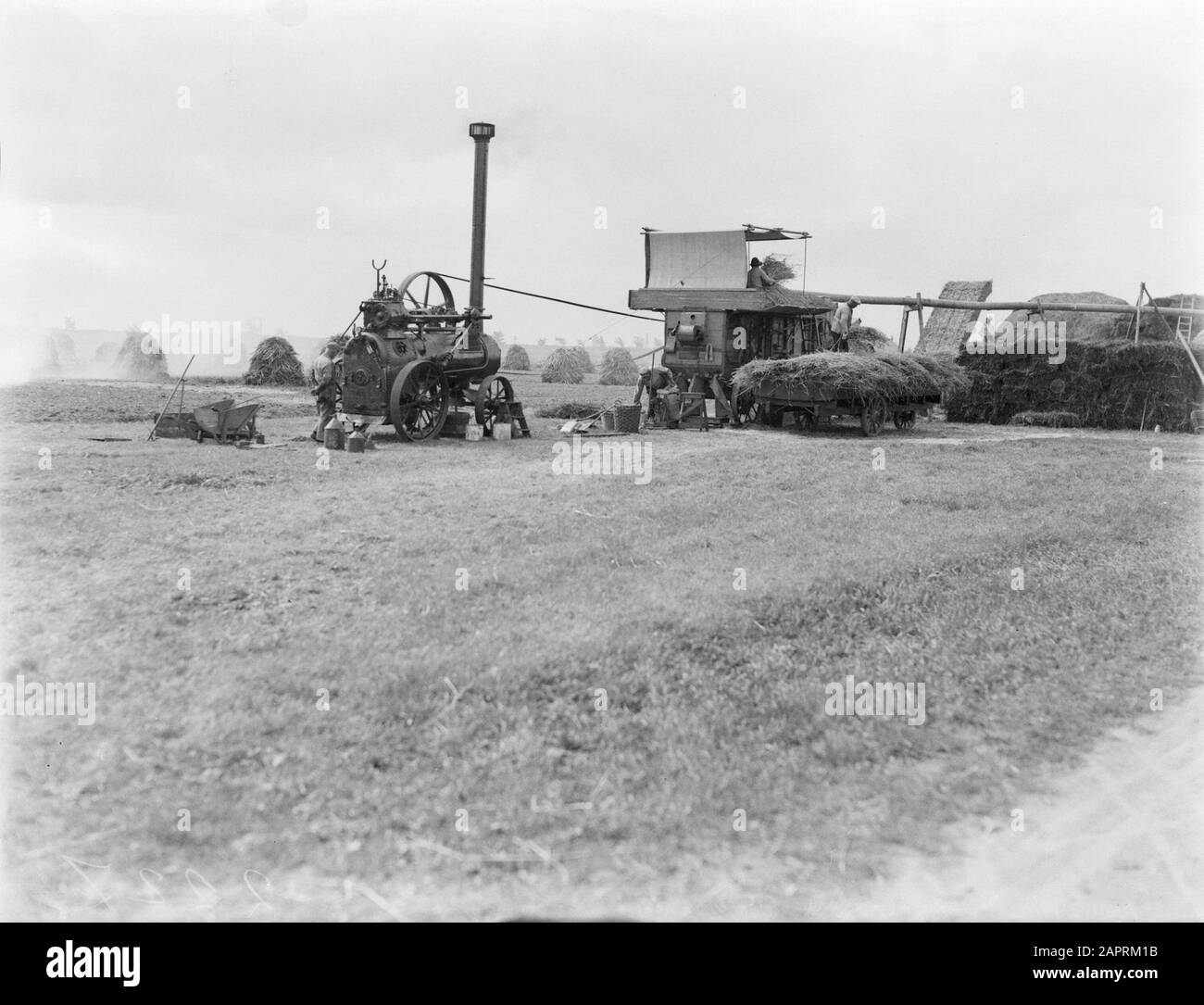 Reportage Noord-Holland Thresher avec un moteur à vapeur comme un trajet dans la Anna Paulownapolder Date: 1 Janvier 1930 lieu: Anna Paulowna, Noord-Holland mots clés: Agriculture, machines, récolte Banque D'Images