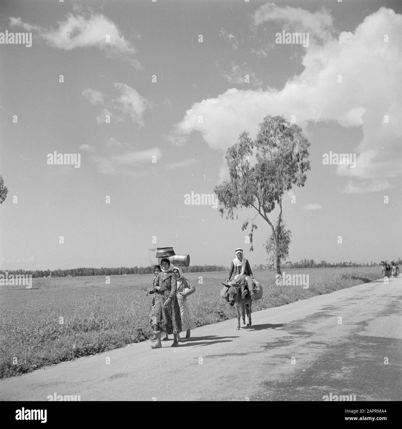 Israël 1948-1949 Trois femmes arabes sur un pays de transport routier fardeaux sur leurs têtes alors qu'un homme sur un âne emballé les suit Date: 1948 lieu: Israël mots clés: Ânes, transport, routes Banque D'Images