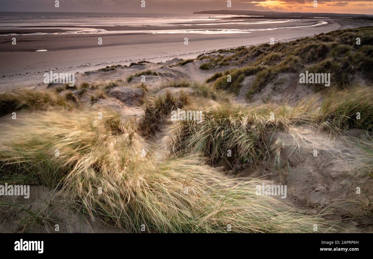 Dunes de sable à Camber Sands Banque D'Images