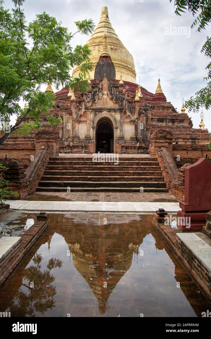 Reflet du temple de Shwezigon dans une petite flaque, Bagan Banque D'Images