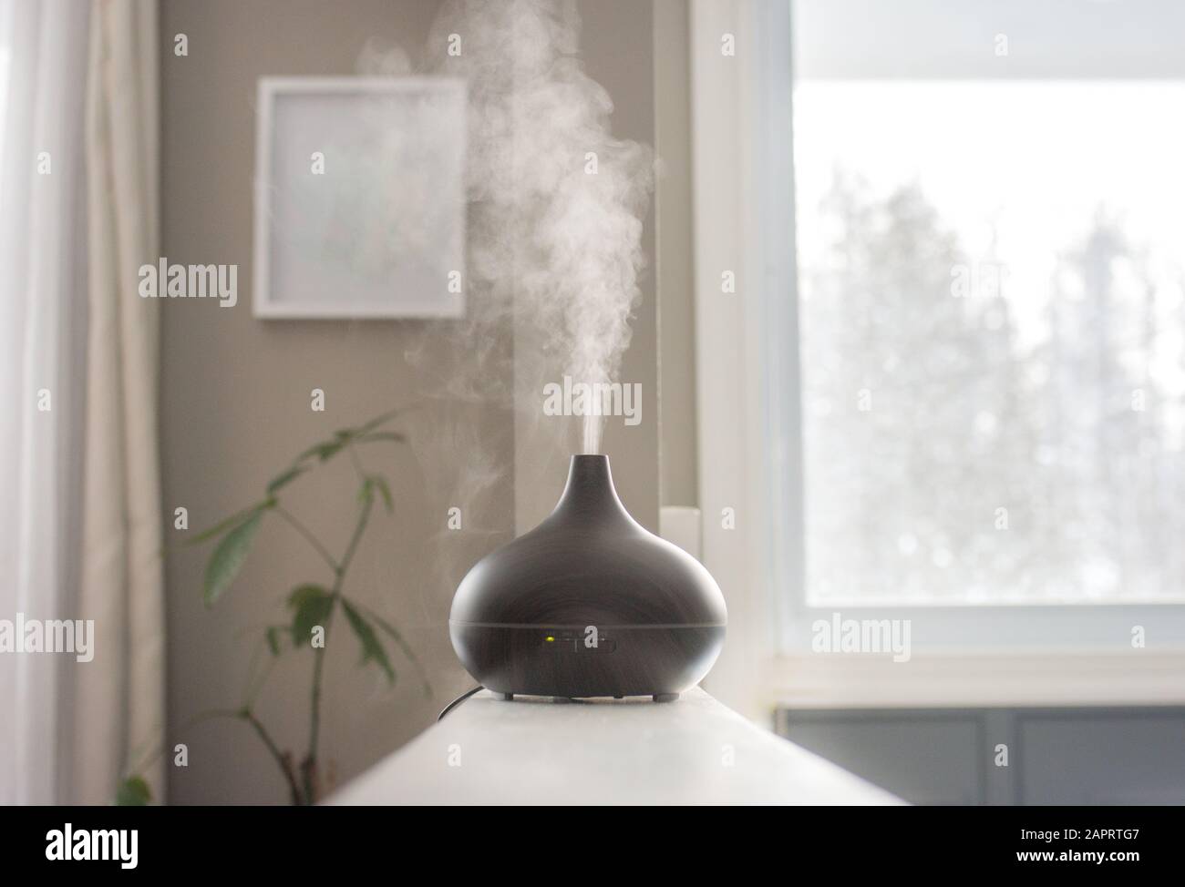 Les huiles essentielles se diffusent à la maison sous la lumière du matin Banque D'Images