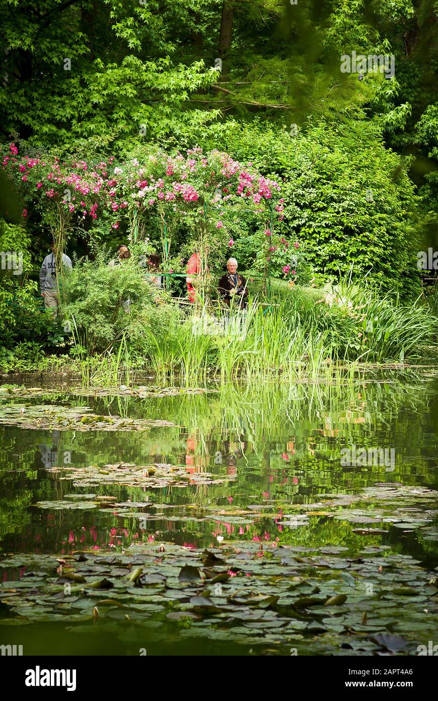 Le jardin de Monet - de l'autre côté de la piscine de nénuphars - une scène paisible Banque D'Images