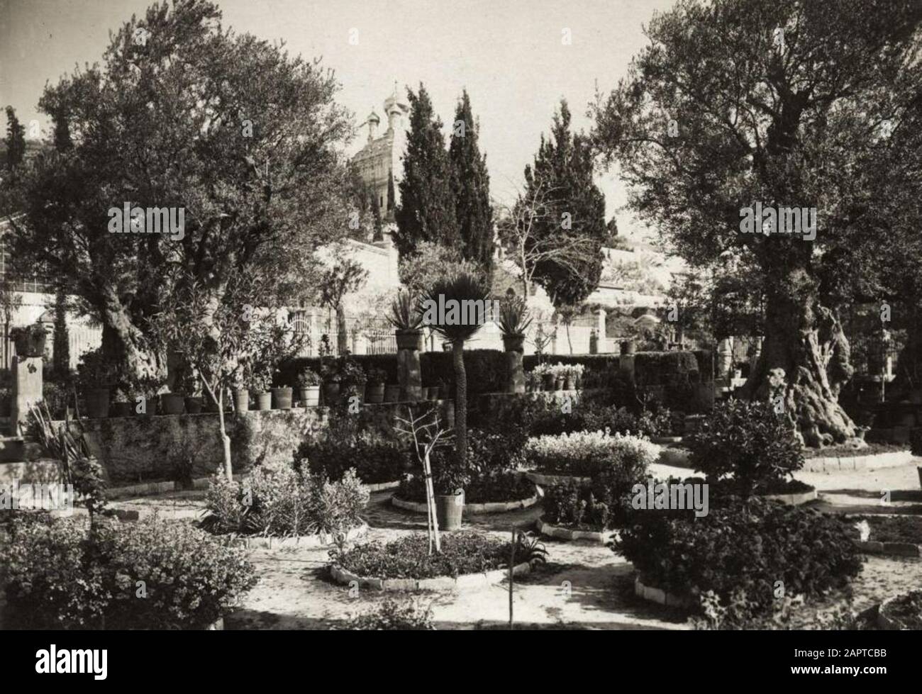 Archives De Jérusalem : Vie (Vie 022). Vue sur Getsémane à Jérusalem, selon la légende du train. Palestine, Israël, 1916. Banque D'Images