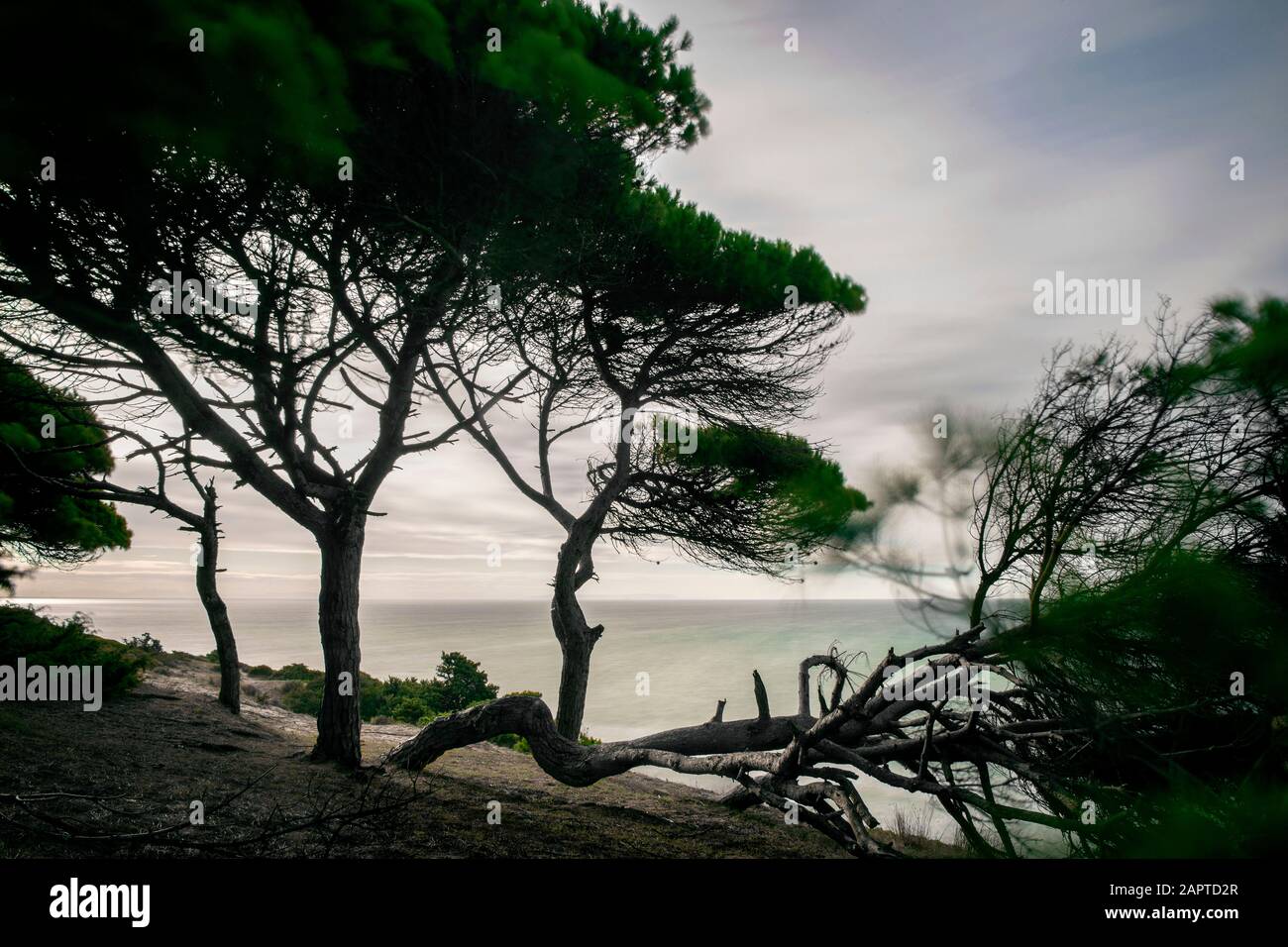 Magnifique « Costa de la Luz » près de la côte Atlantique en Espagne Banque D'Images