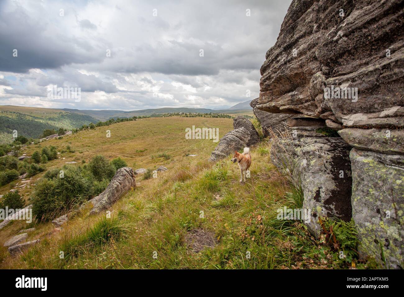 Labyrinthe de pierre. Formation de roches dans les montagnes du Caucase. Banque D'Images