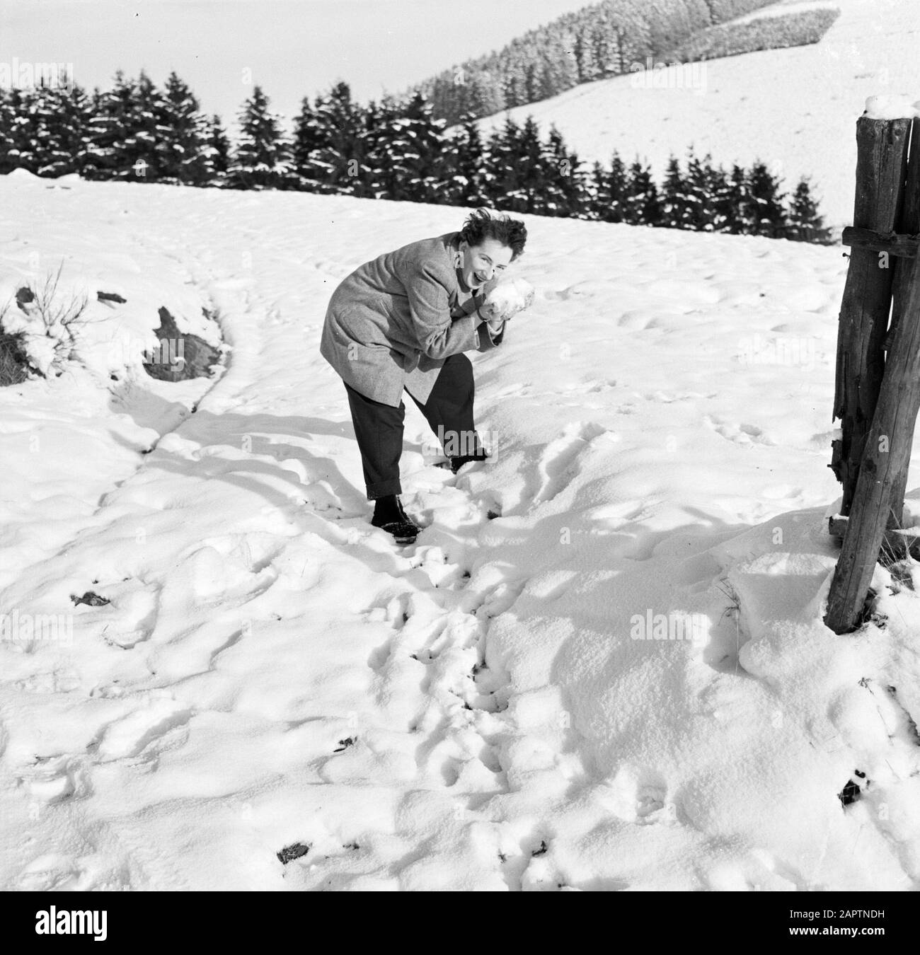 Rothaargebergte Hilde Eschen dans la neige Date : non daté lieu : Allemagne, Rhénanie-du-Nord-Westphalie, Allemagne de l'Ouest mots clés : paysages, neige Nom du personnage : Eschen, Hilde Banque D'Images
