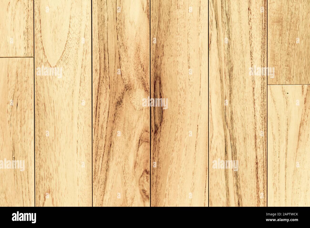 Texture de panneaux en bois. Arrière-plan en bois pour la conception et la décoration. Banque D'Images