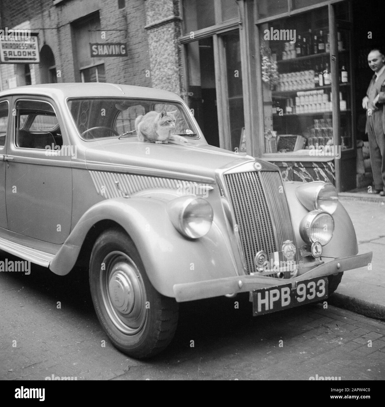 Reportage London Cat sur une voiture de luxe à Soho Date: 1947 lieu: Grande-Bretagne, Londres mots clés: Voitures, chats, images de rue Banque D'Images