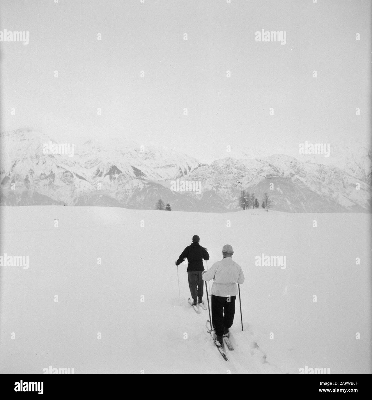 Hiver au Tyrol skieurs de fond à la Nordchette Date: Janvier 1960 lieu: Igls, Autriche, Tyrol mots clés: Montagnes, paysages, ski de fond, panoramas, neige, vacances, hiver, sports d'hiver Banque D'Images