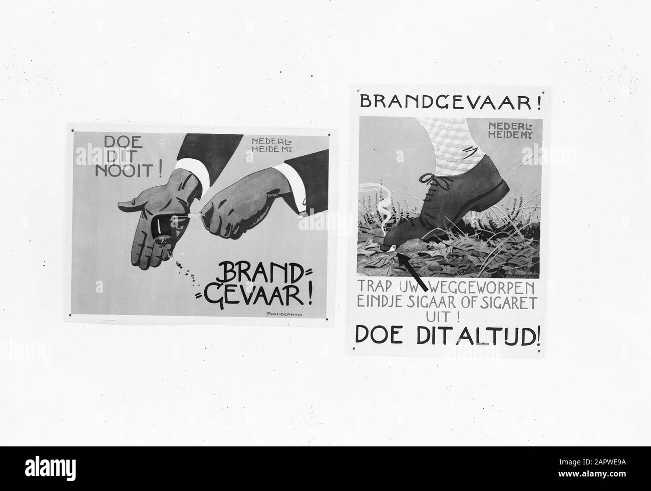 Reproductions, feux de forêt Date: Non daté lieu: Pays-Bas mots clés: Feux de forêt, reproductions Banque D'Images