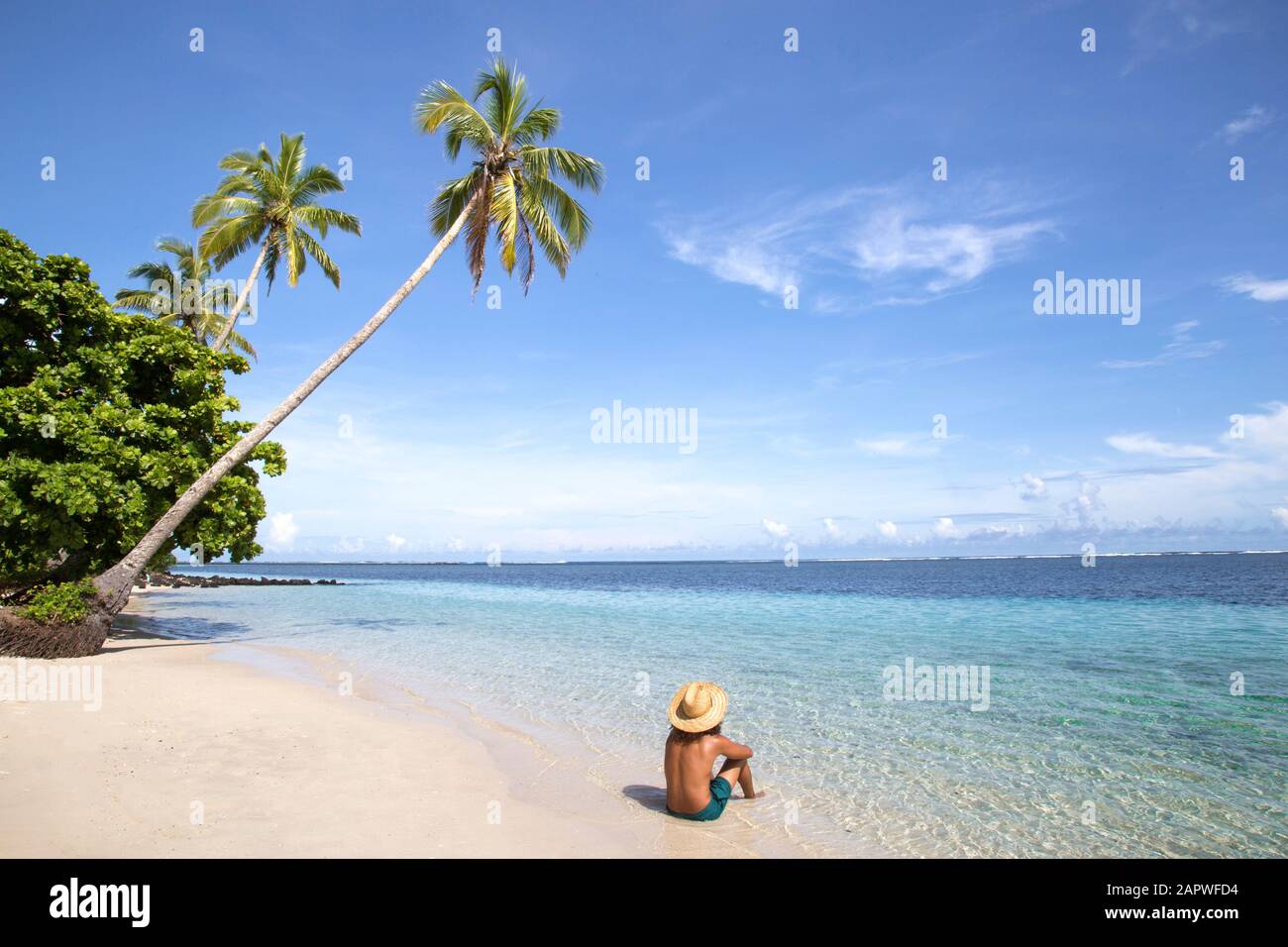 Homme avec chapeau doré et maillot de bain vert à la plage avec palmier penché Banque D'Images