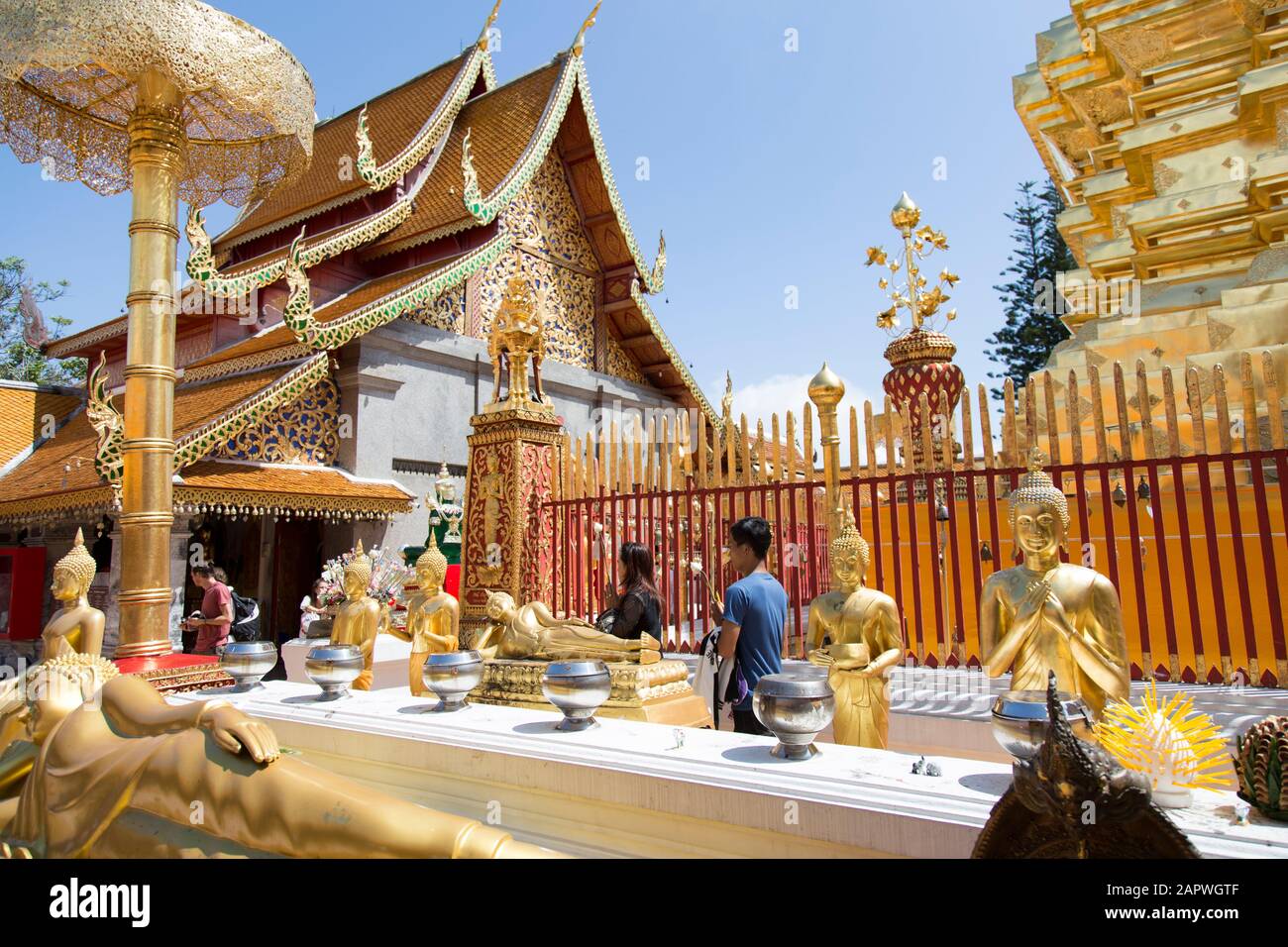 Les thaïlandais priant, avec fleur de lotus, à Wat Doi Suthep Banque D'Images