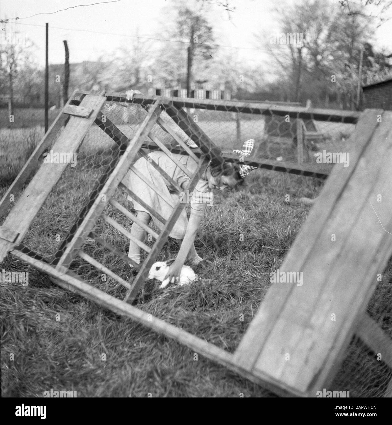 Ferme à Angerlo Girl dans une huche de lapin Date: 1932 lieu: Angerlo, Gueldre mots clés: Lapins, filles Banque D'Images