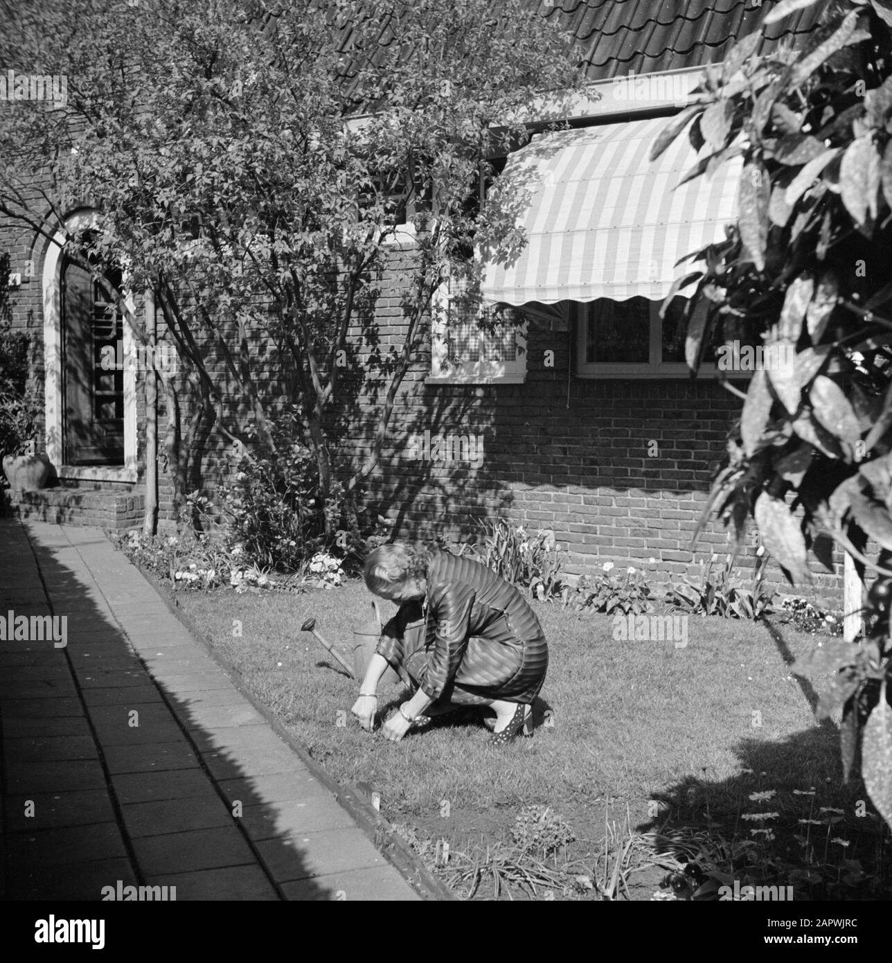 KLM, bâtiments, bureaux, organisation Mme Dellaert dans le jardin devant la maison Annotation: M. Dellaert (1893-1960) a été directeur du KLM de 1950 à 1960 Date: Mai 1954 lieu: Amstelveen, Noord-Holland mots clés: Extérieur, pelouses, squats, jardins, femmes, maisons Banque D'Images