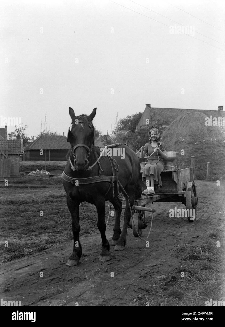 Modèle de reportage modèle Eva Waldschmidt à Broek dans Waterland sur un  cheval et une voiture Date: 1933 lieu: Pantalon dans Waterland mots clés:  Modèles photo, cheval et wagon, chevaux, femmes Nom