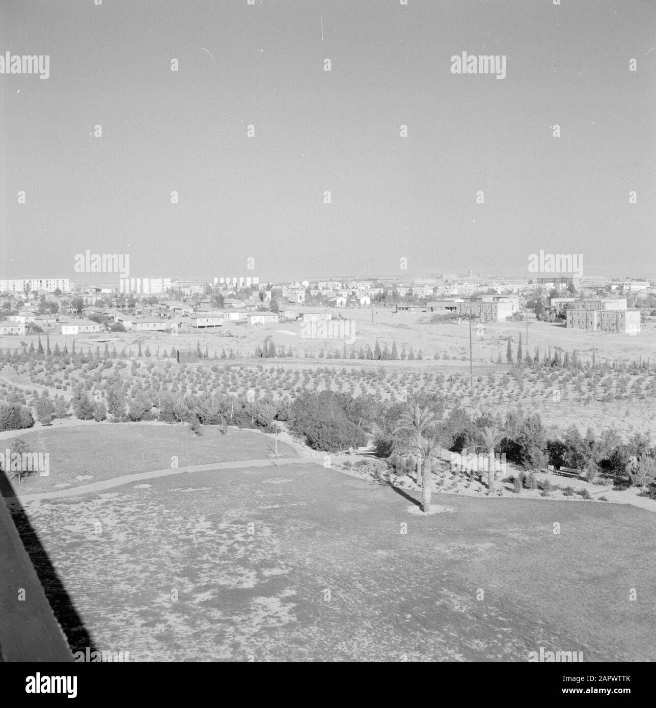 Israël: Bersjeba Nouvelle plantation à la périphérie de Bersheba Date: Non daté lieu: Bersheba, Israël mots clés: Arbres, arbustes, panoramas, urbanisme Banque D'Images