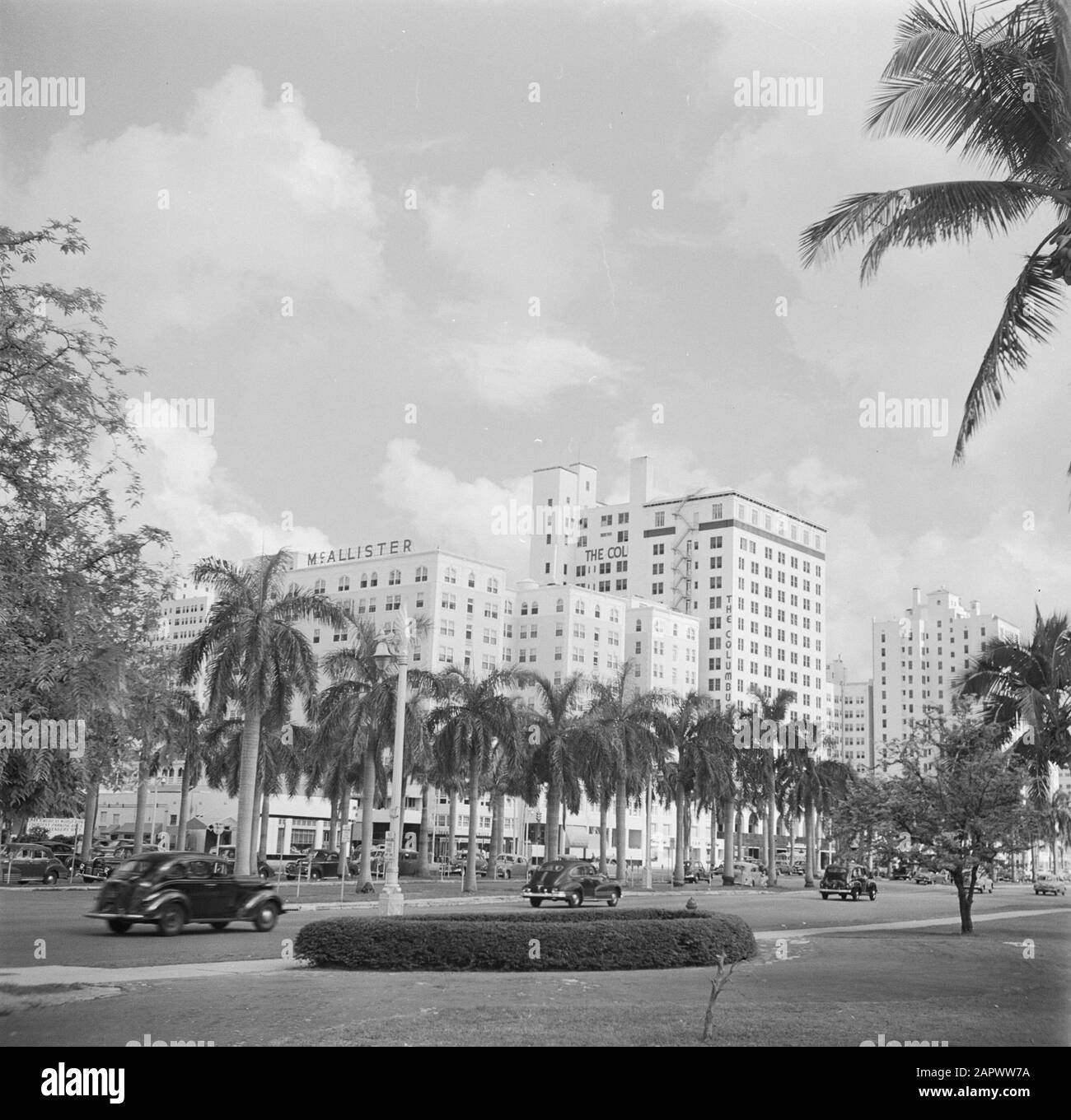 Reportage Miami Ocean Drive Boulevard à Miami avec le Colonial et le Mac Allistar Hotel Date: 1948 lieu: Miami, USA mots clés: Voitures, hôtels, images de la ville Banque D'Images
