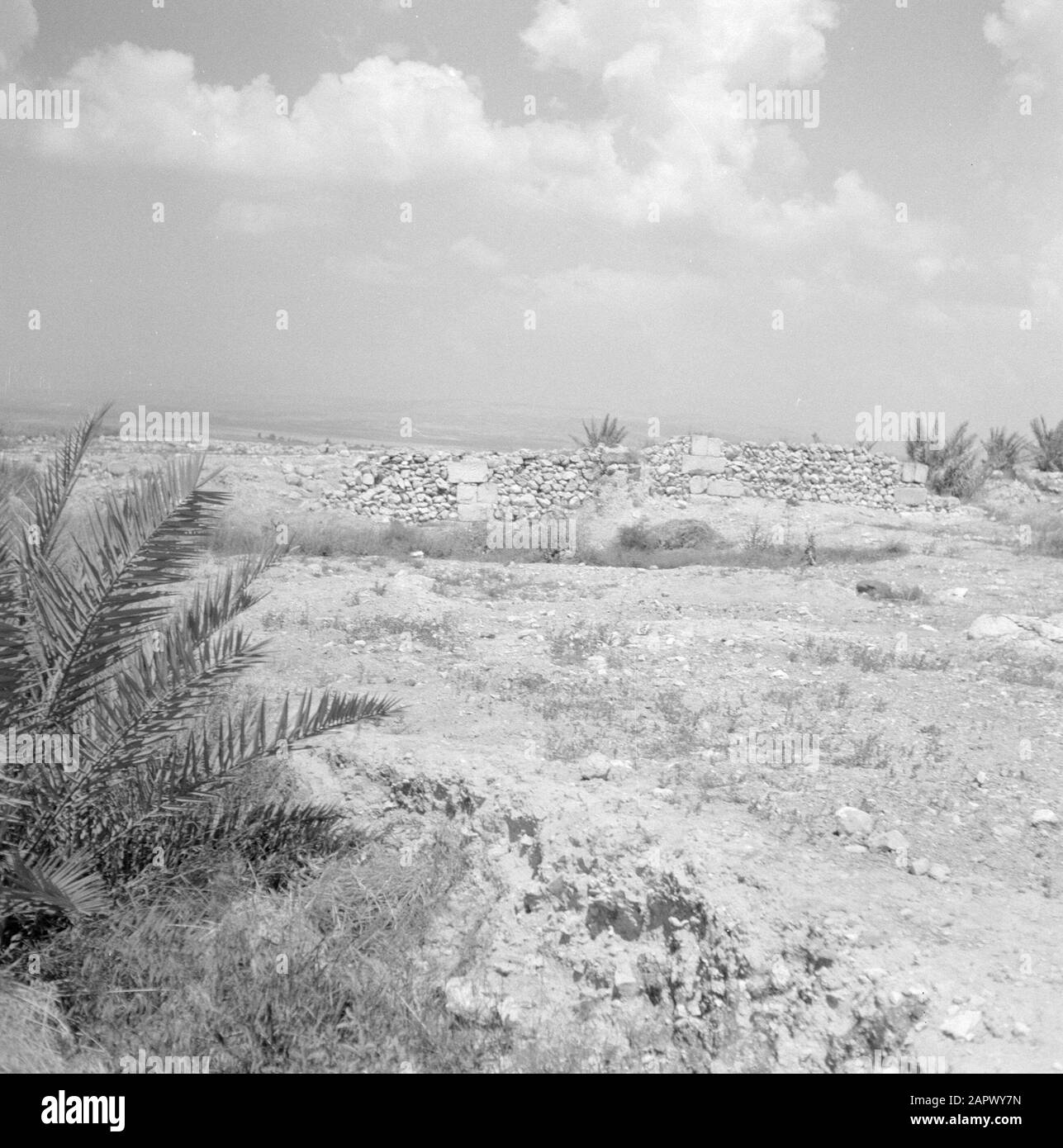 Israël: Fouilles complexe de Fouilles Megido (Megiddo): Vestiges archéologiques Date: Non daté lieu: Israël, Megiddo mots clés: Archéologie, murs, fouilles, palmiers Banque D'Images