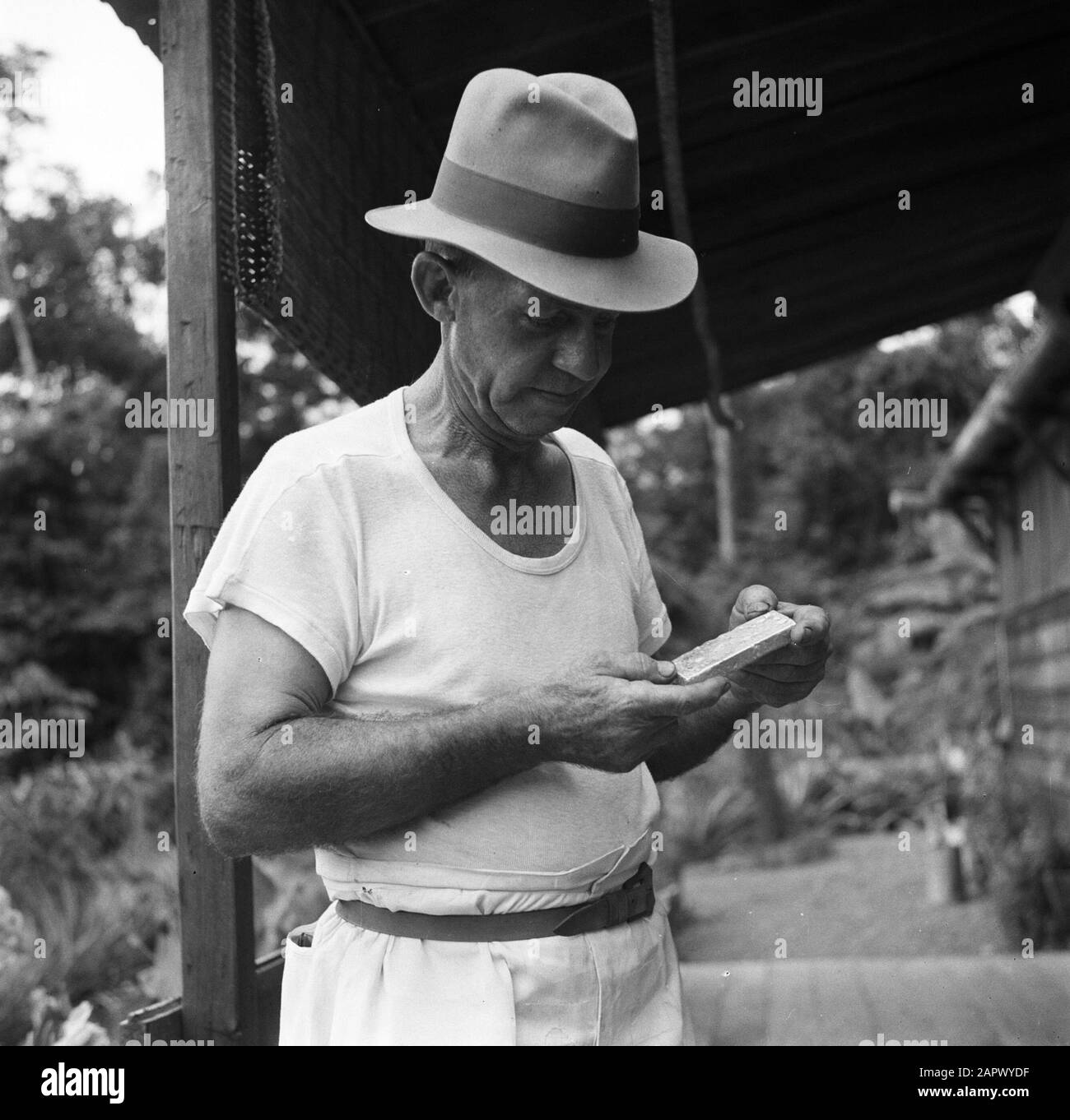 Voyage au Suriname et aux Antilles néerlandaises Superviseur Sewell de la mine d'or à de Jong Zuid avec bar d'or Date: 1947 lieu: De Jong Zuid, Suriname mots clés: Or, mines Nom du personnage: Sewell , [.] Banque D'Images