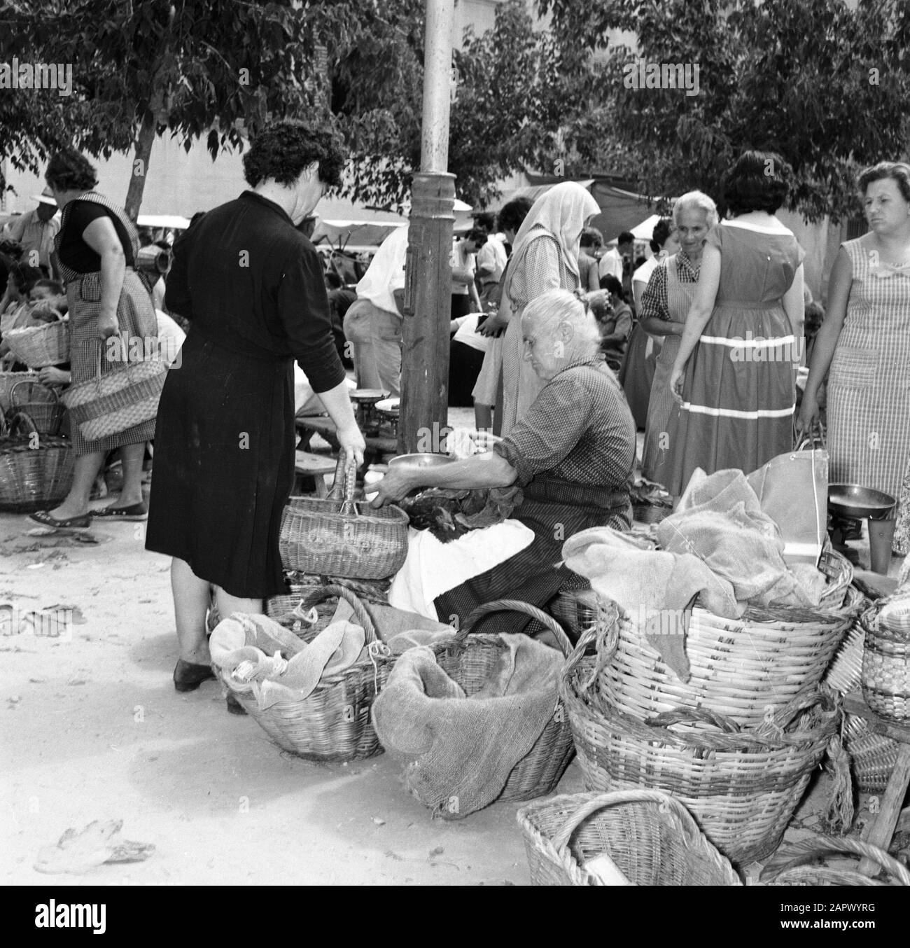 Marchés espagnols vieux marché femme vekoopt oeufs Date: Non daté lieu: Espagne mots clés: Oeufs, poulets, marchés, femmes Banque D'Images