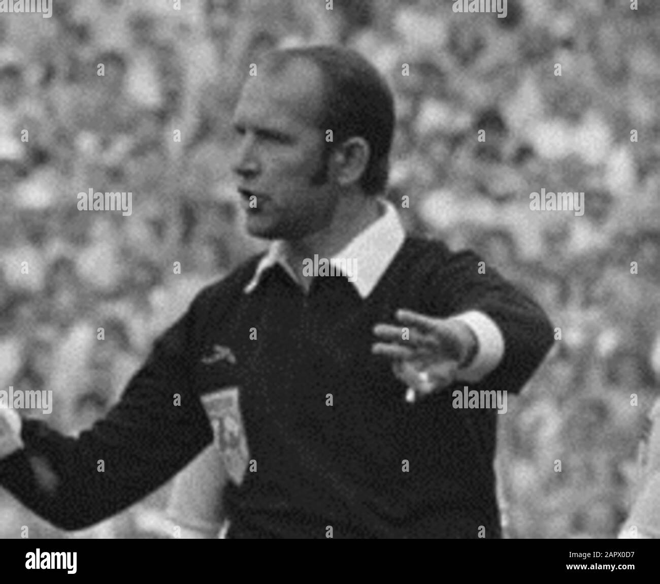 Arbitre palotai Banque de photographies et d’images à haute résolution