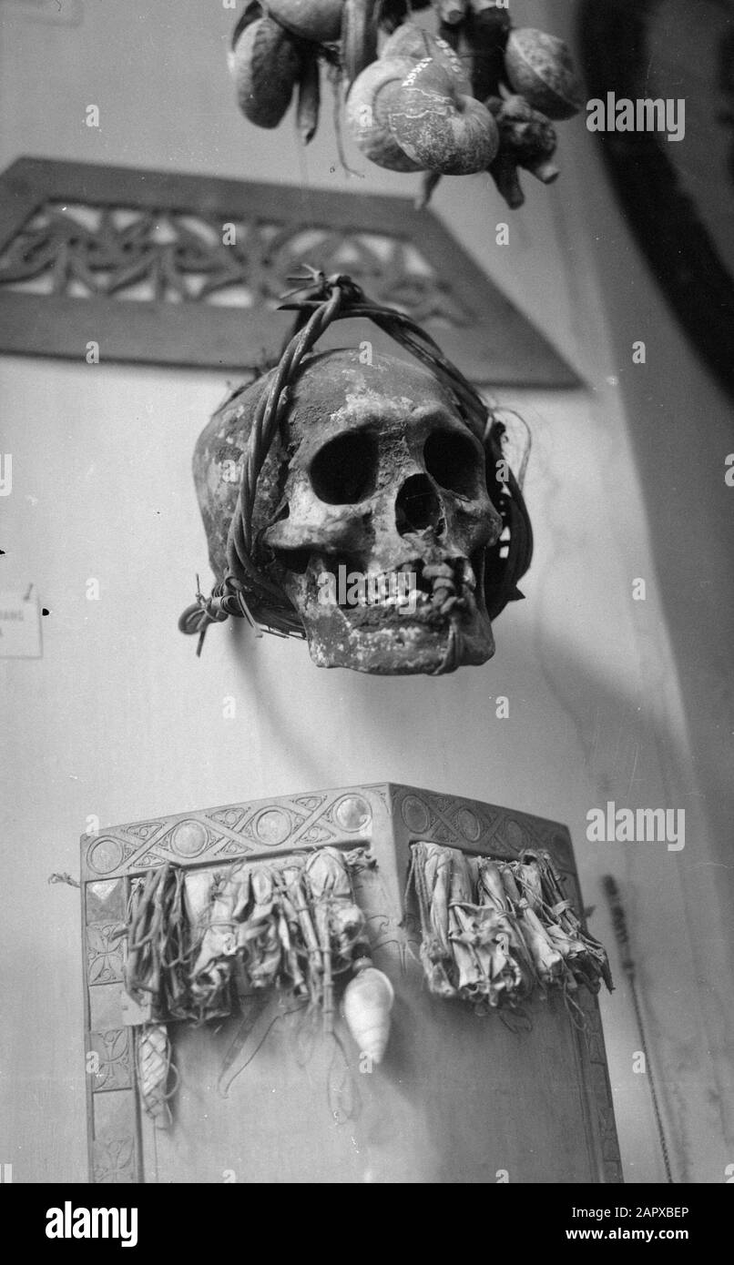 Museum Batavian Society For Arts And Sciences Skulls, Curiosités Date : 23 Novembre 1948 Lieu : Batavia, Indonésie, Jakarta, Antilles Néerlandaises Banque D'Images
