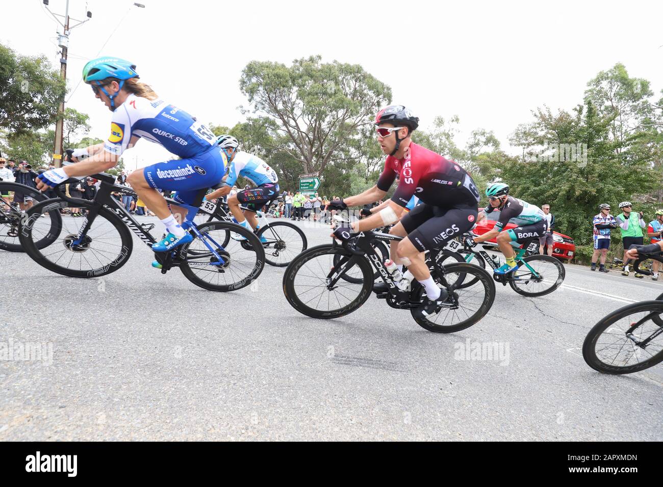 Les coureurs en compétition sur la phase 3 de la tournée 2020 Descendent Sous la course à vélo près d'Adélaïde Australie Banque D'Images