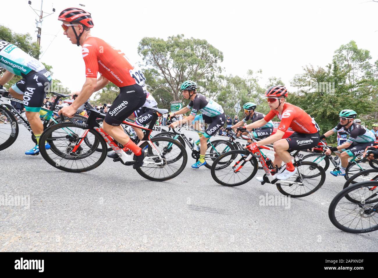 Les coureurs en compétition sur la phase 3 de la tournée 2020 Descendent Sous la course à vélo près d'Adélaïde Australie Banque D'Images