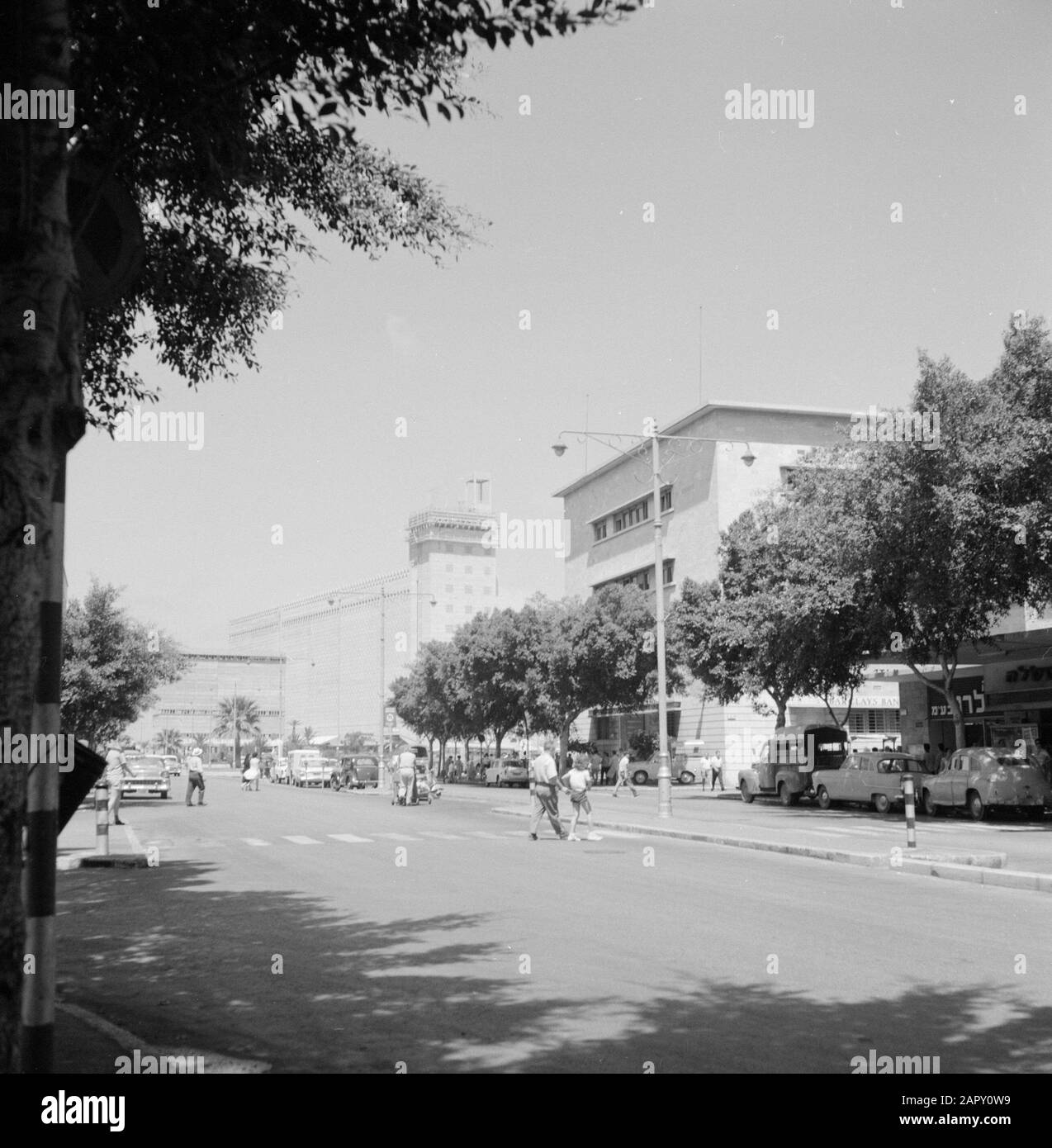 Israël 1964-1965: Haifa, Street images Road with City traffic, arbres and Apartment blocks, in the Middle Street lights and in the background 'agon grain silo' Date: 1964 lieu: Haifa, Israel mots clés: Voitures, arbres, immeubles d'appartements, ombres, silos, images de rues, lumières de rues, piétons, routes Banque D'Images