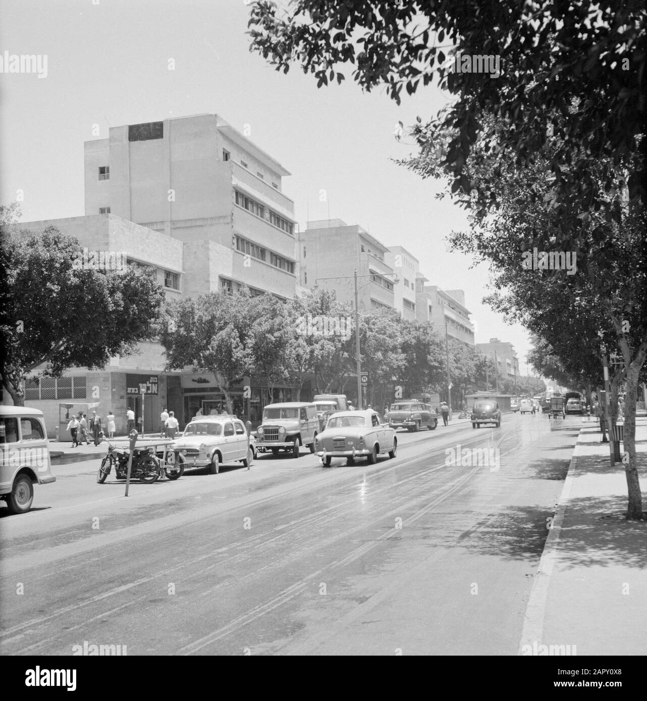 Israël 1964-1965: Haifa, sculptures de rue route avec circulation urbaine, des deux côtés une rangée d'arbres et des blocs d'appartements de gauche Date: 1964 lieu: Haifa, Israël mots clés: Voitures, arbres, oldtimers, sculpteurs de rue, feux de rue, piétons, routes Banque D'Images