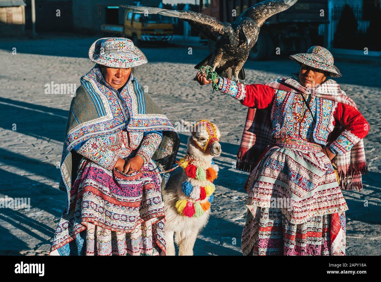 Yanque, Région D'Arequipa, Pérou - 22 Juillet 2010: Deux Femmes En Costume Traditionnel Local Montrant Un Llama Et Un Aigle Dans Le Canyon De Colca. Banque D'Images