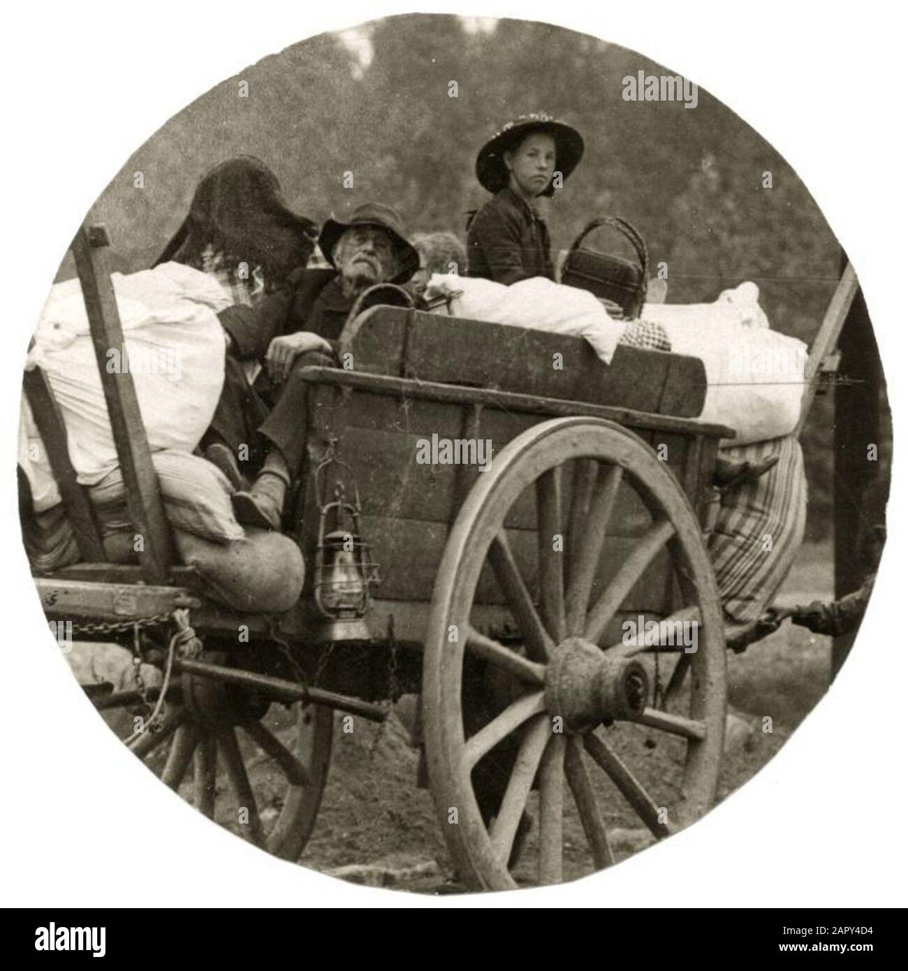 Première Guerre Mondiale, Réfugiés. Les personnes âgées belges qui sont mal à pied s'enfuient aux Pays-Bas à l'arrière des chevaux et des wagons. Belgique 914. Banque D'Images