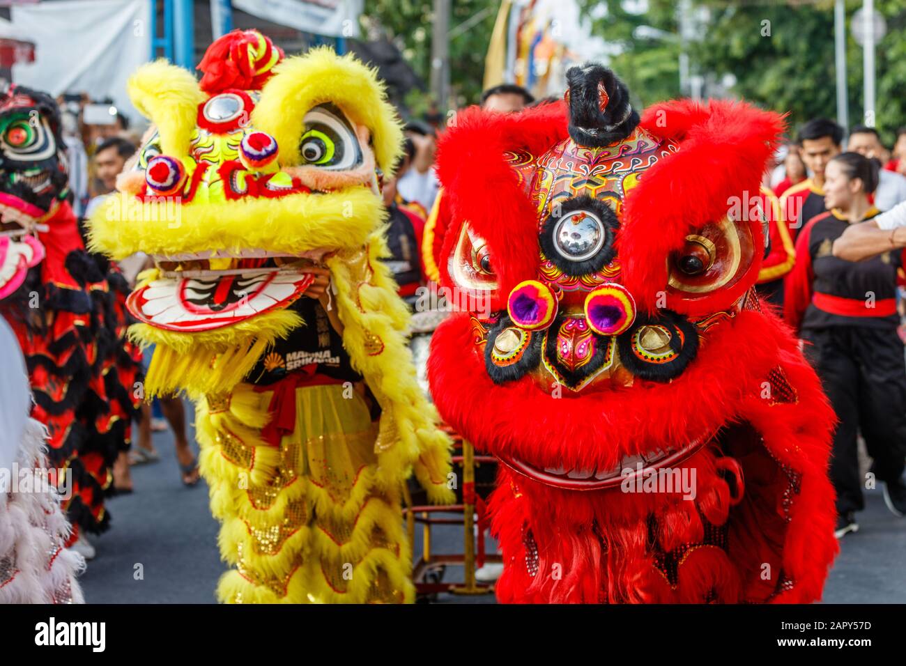 Danse du Lion (barongsai) à la célébration du nouvel an lunaire (Imlek) par la communauté sino-indonésienne. Vihara Dharmayana Kuta, Bouddhiste Chinois, Bali, Indonésie Banque D'Images