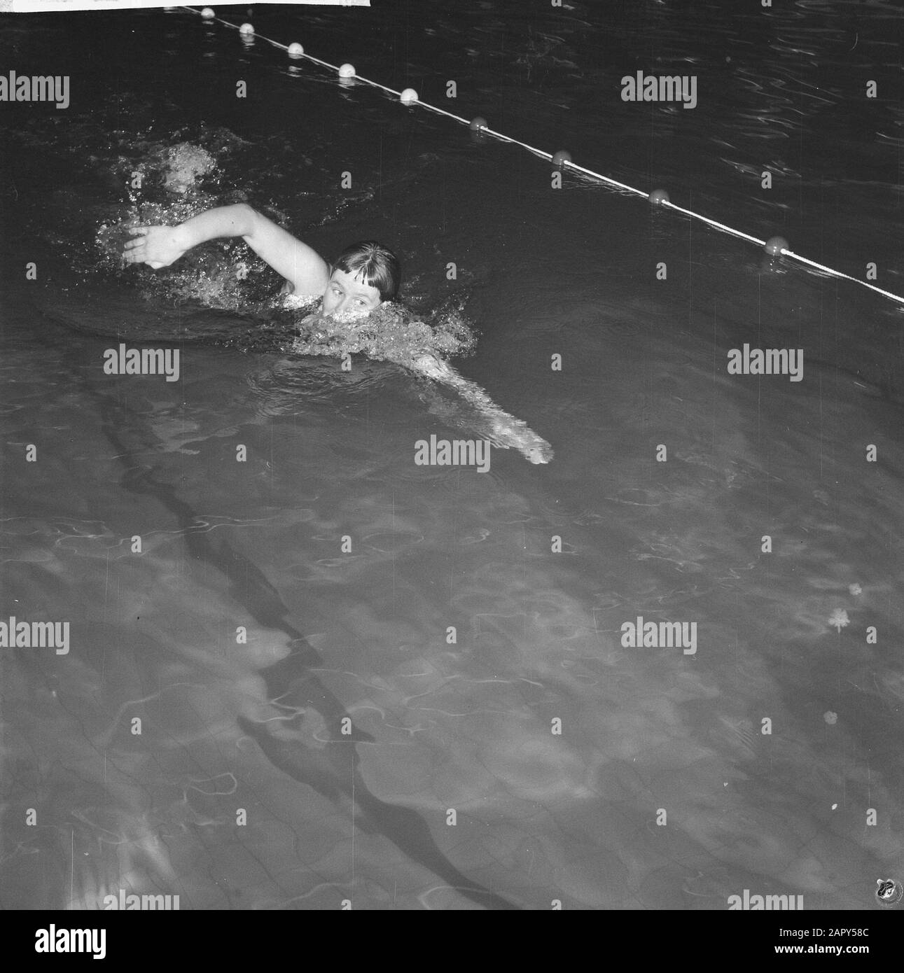 Marianne Heemskerk améliore le record européen. SeinAVC Date: 28 février 1962 mots clés: Nageurs Nom personnel: Heemskerk, Marianne Banque D'Images