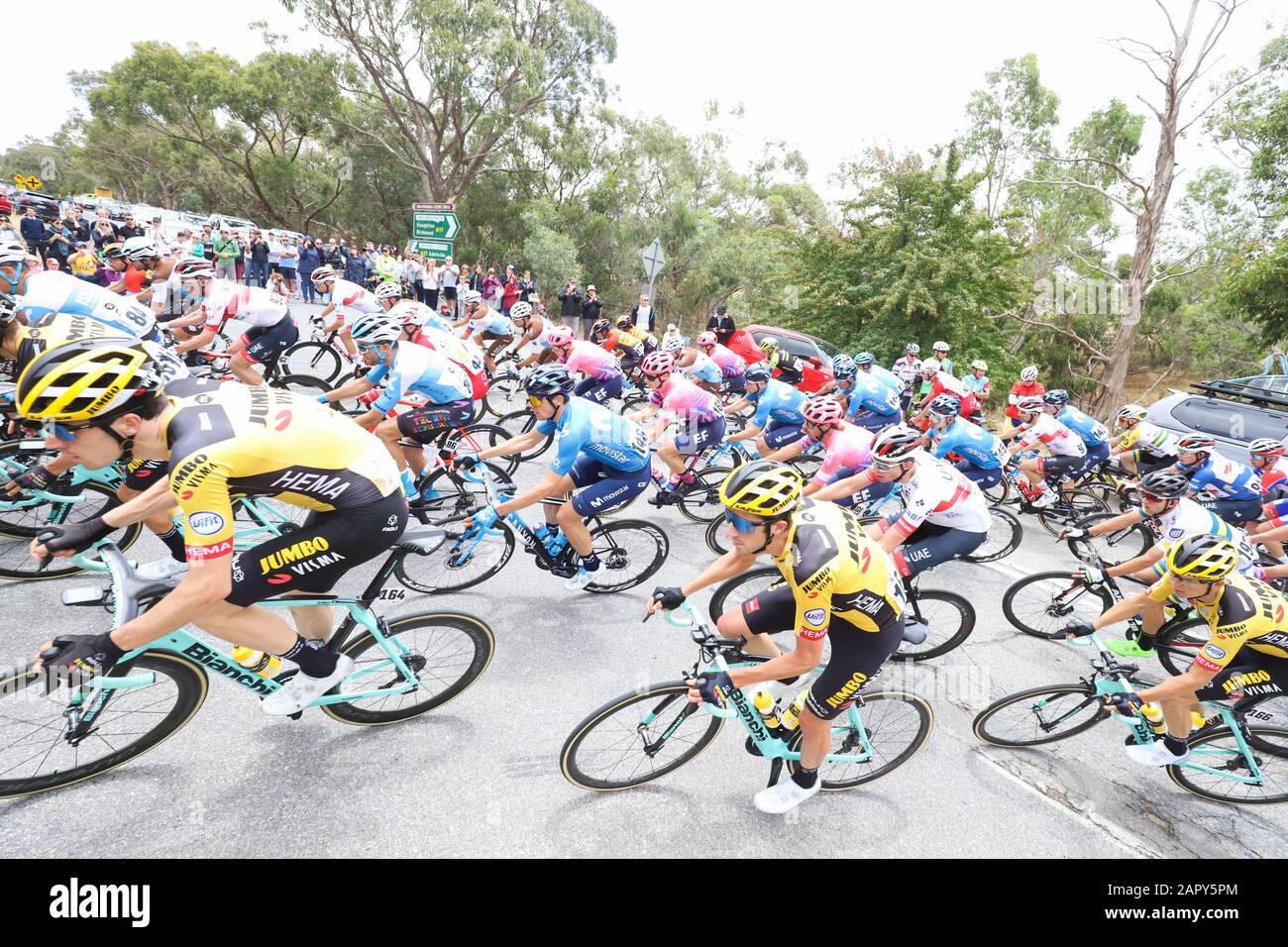 Les coureurs en compétition sur la phase 3 de la tournée 2020 Descendent Sous la course à vélo près d'Adélaïde Australie Banque D'Images
