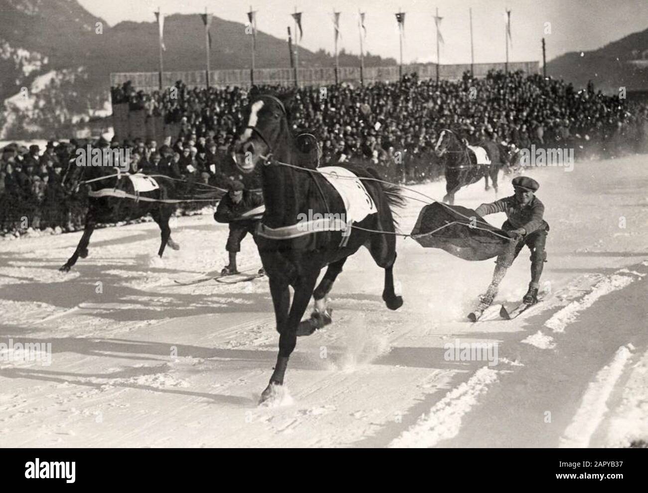 Sijoring » désigne un sport d'hiver dans lequel les participants sont tirés sur skis par des chevaux galopants (ou des chiens ou des motos). Lieu inconnu, 1930. Banque D'Images