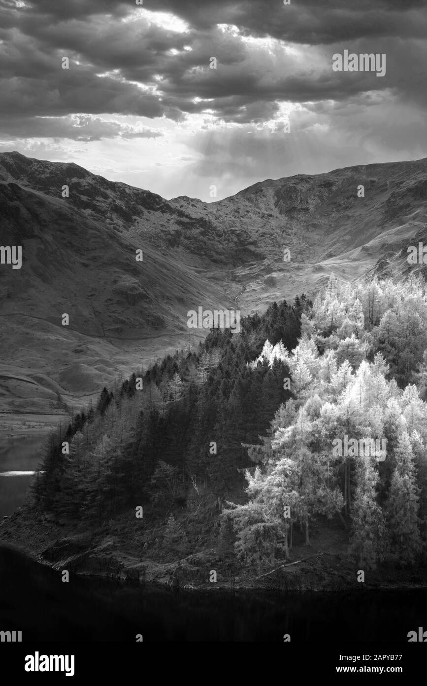 Image paysage épique d'Automne avec des arbres de pin et mélèze contre cadre majestueux de Hawes en eau et un montant maximum en Lake District Banque D'Images