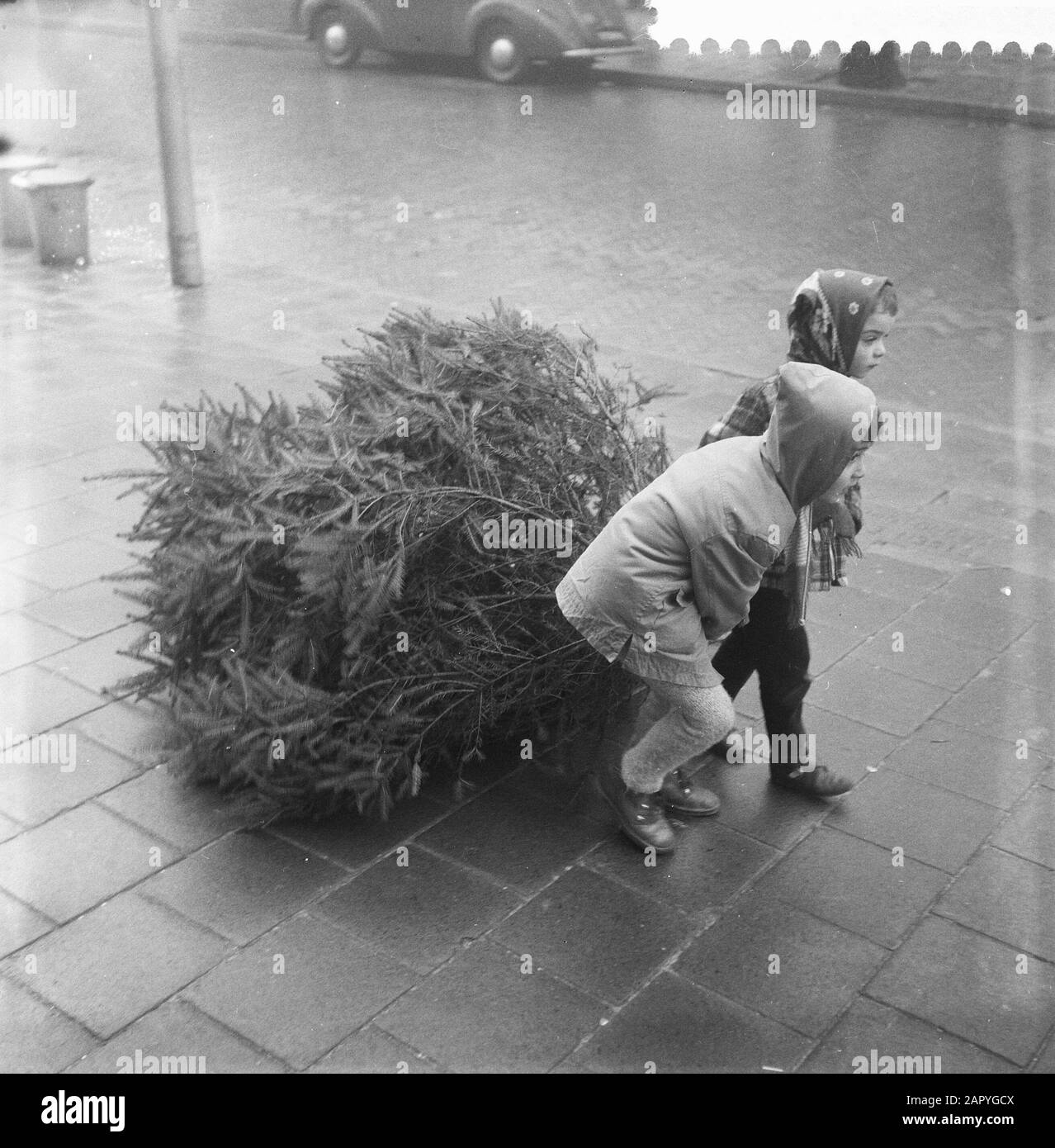 Enfants, faire glisser un arbre de Noël Date: 23 décembre 1958 mots clés: Enfants, maisons, arbres de Noël Banque D'Images