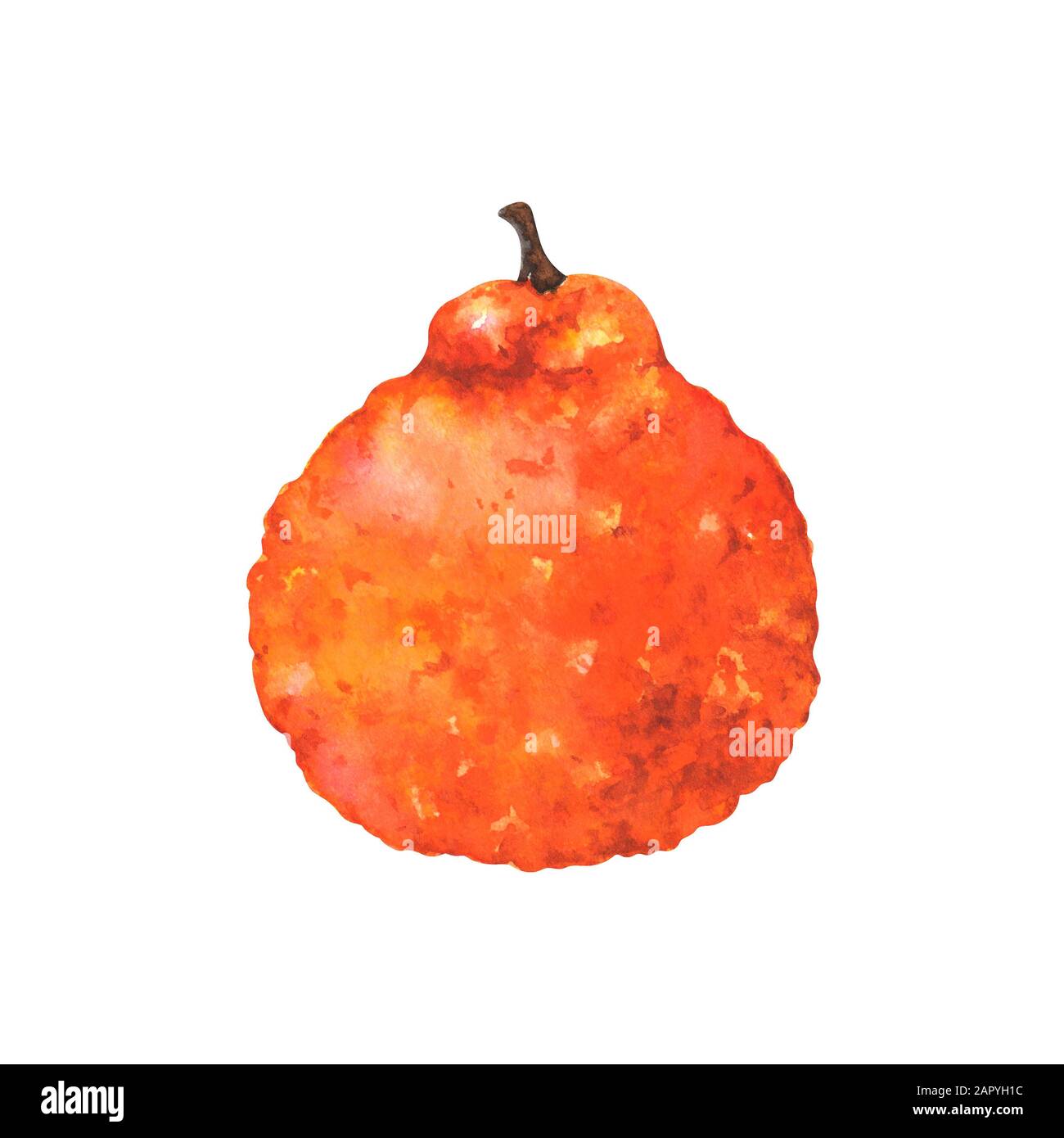 Illustration d'aquarelle de fruits laid Banque D'Images