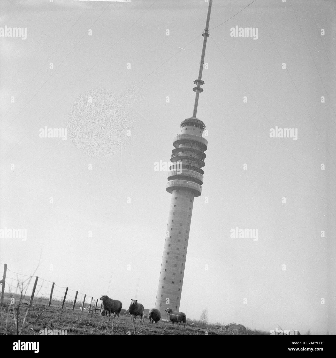 Nouvelle chaîne de télévision à Lopik, la nouvelle chaîne de télévision Date: 17 janvier 1961 lieu: Lopik mots clés: Chaînes de télévision Banque D'Images