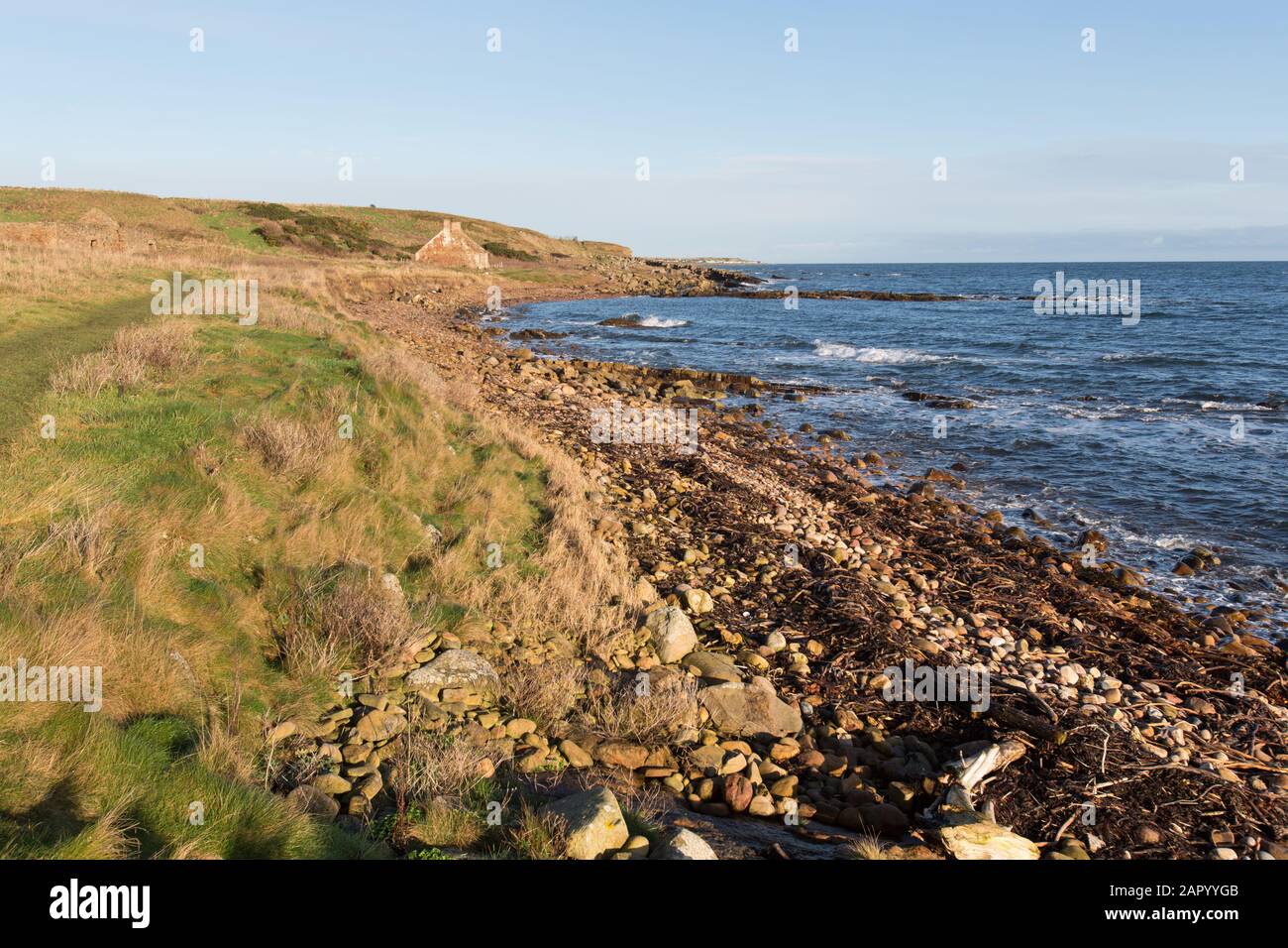 Fife Coastal Path, Écosse. Vue pittoresque sur le sentier côtier de Fife, entre les villages d'Anstruther et de Crain. Banque D'Images