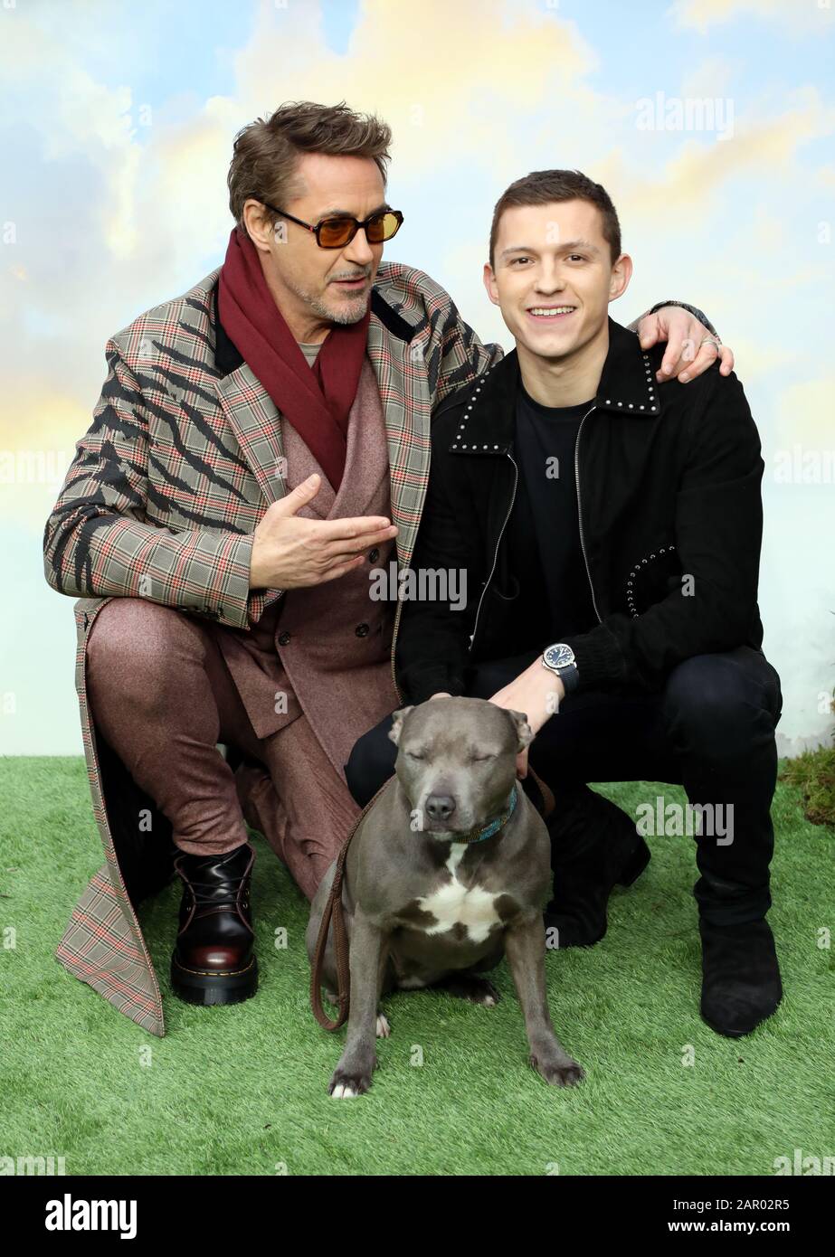 Robert Downey, Jr. (À gauche) Tom Holland et son chien Tessa lors de la première Dolittle à Leicester Square, Londres. Banque D'Images