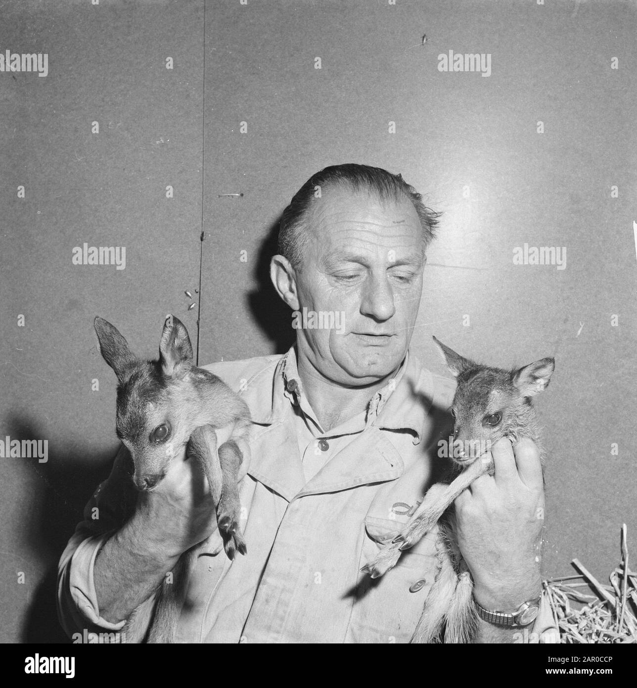 Wet en wee à Artis, baby-sitter avec deux jeunes gens Date: 16 mai 1962 lieu: Amsterdam, Noord-Holland mots clés: Zoos Nom de l'établissement: Artis Banque D'Images