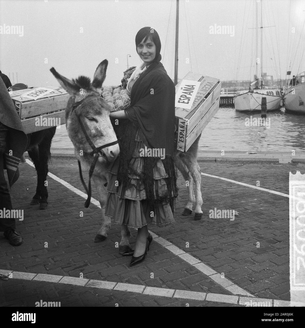 Défilé d'orange de l'hôtel de ville à Emmakinderziekenhuis la procession à l'église Saint-Nicolas Date: 31 janvier 1964 mots clés: Parades, mairie Banque D'Images