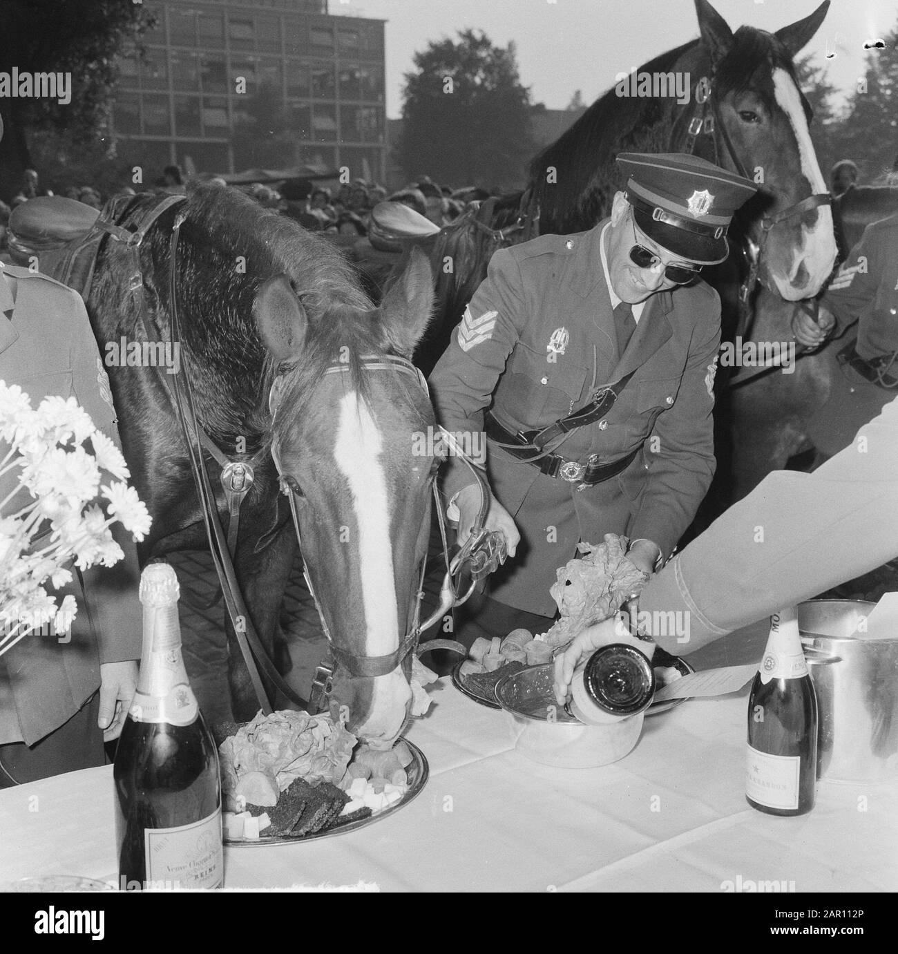 Journée mondiale des animaux 1964, nourrir les animaux (à l'étranger) Date : 5 octobre 1964 mots clés : établissement pour animaux Nom : Journée mondiale des animaux Banque D'Images