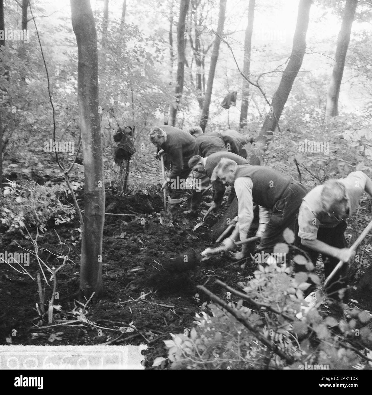 Excavation dans l'Amsterdam Bos, recherchez REST loot Heiligeweg Date: 12 octobre 1964 lieu: Amsterdam, Noord-Holland Banque D'Images