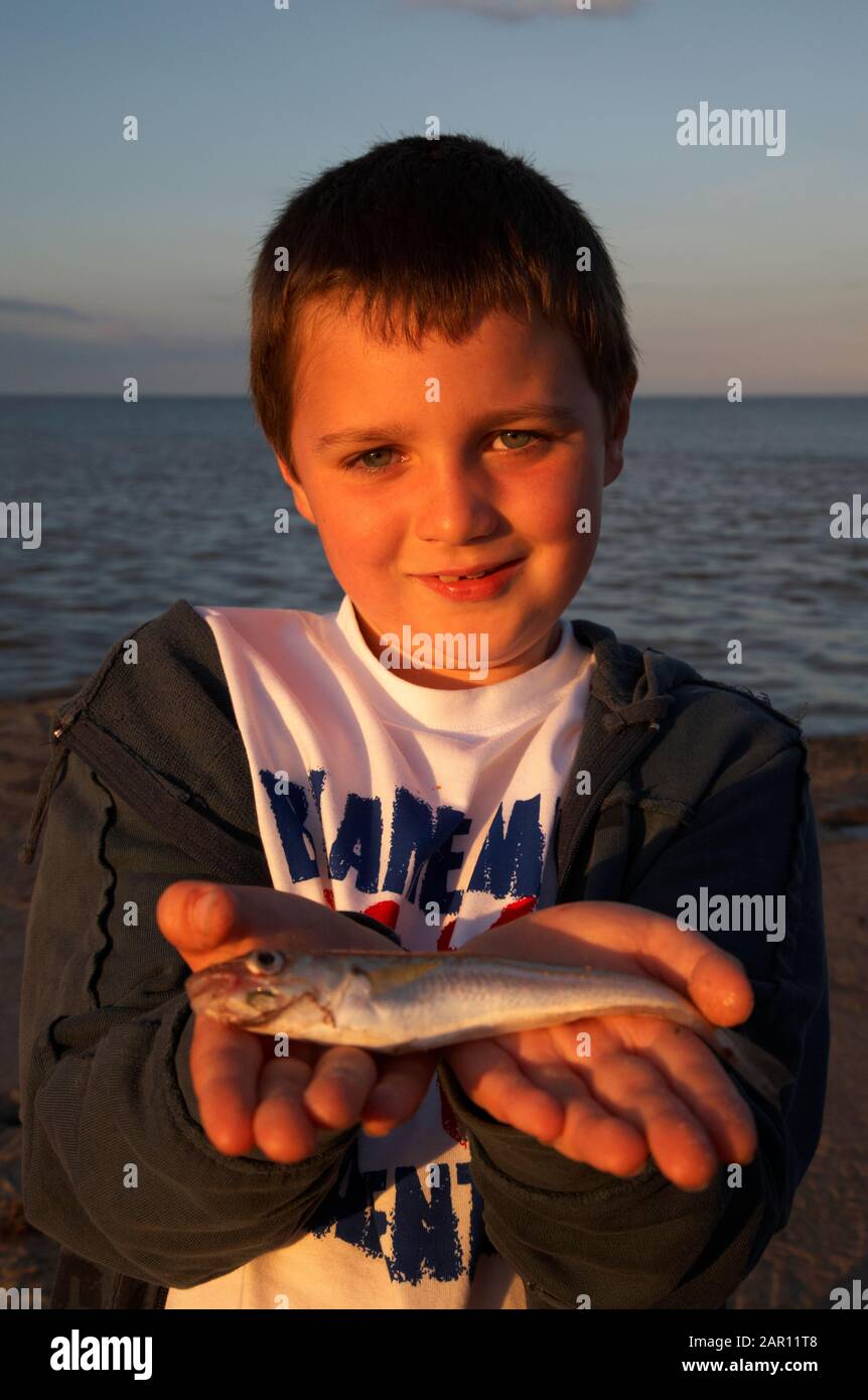 jeune garçon tenant un poisson qu'il vient de pêcher en mer sur la côte de l'irlande Banque D'Images